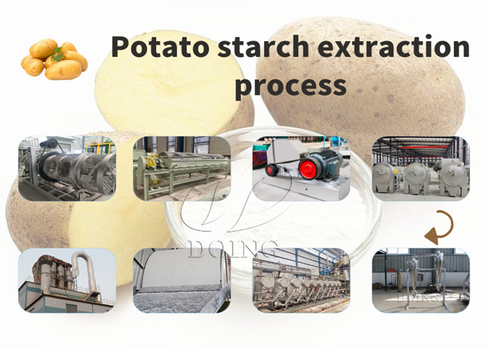 fully automatic potato starch production line