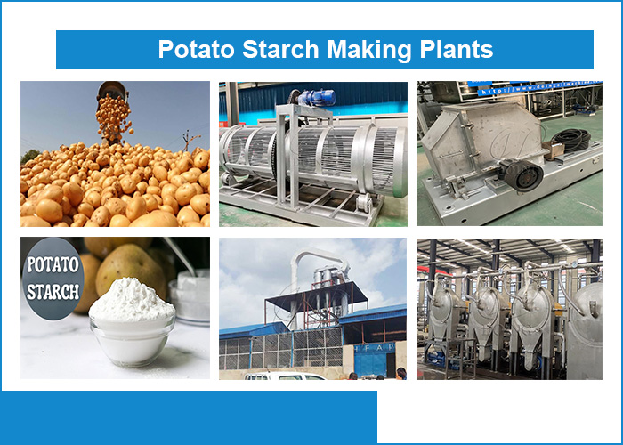 potato starch making plants