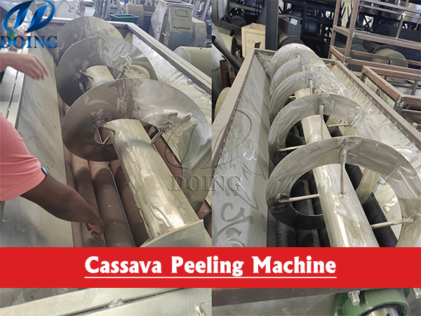 Cassava Manioc Peeling Machine Operation Video