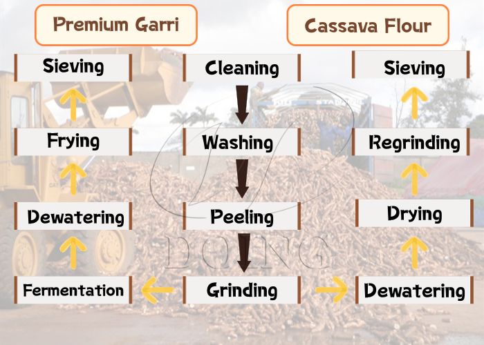 cassava processing line