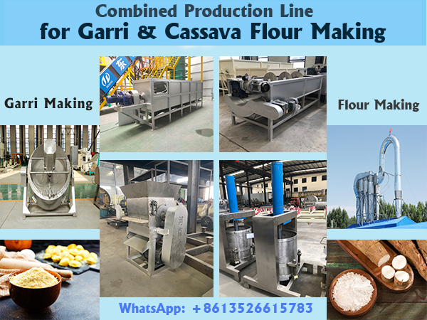 Henan Jinrui Secures 2-in-1 Processing Line Project for Garri and Cassava Flour Production in Gabon
