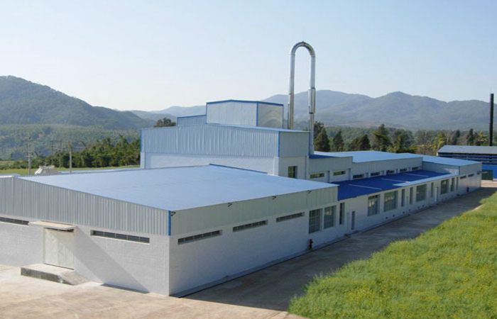 large-scale cassava production facility