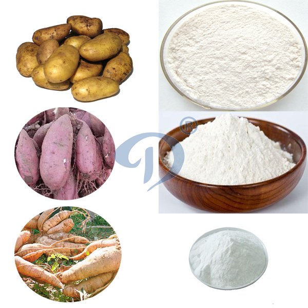 What are high starch foods ?_FAQ