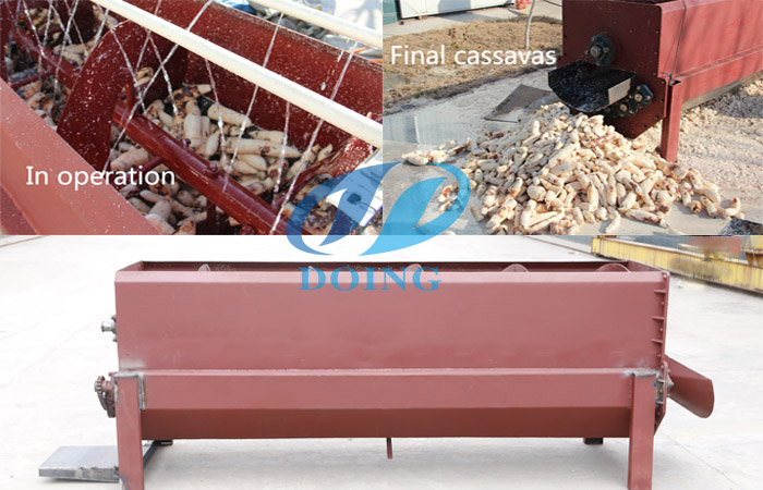 cassava peeling machine