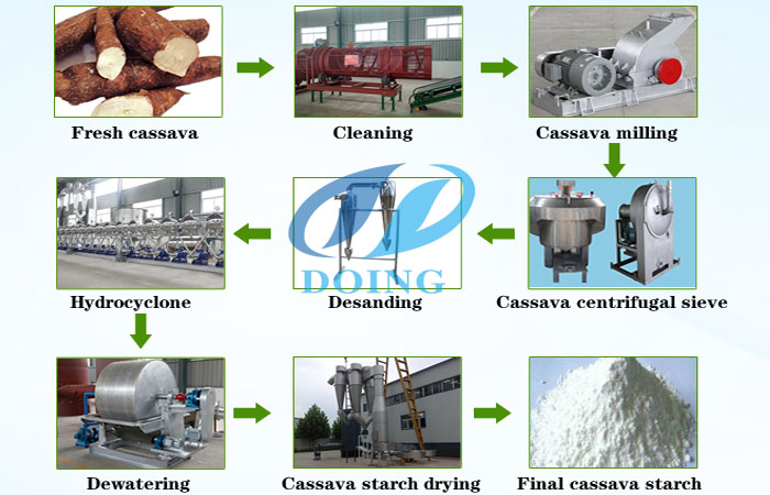 cassava starch